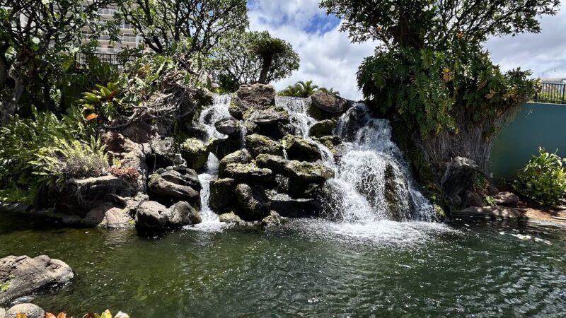 Honoapiilani Dog Park - Lahaina, HI