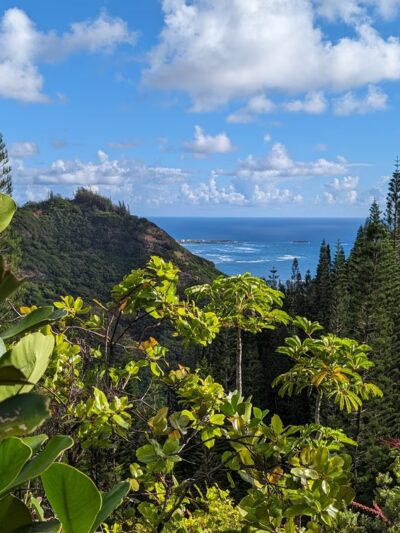 Hauʻula Forest Reserve - Laie, HI