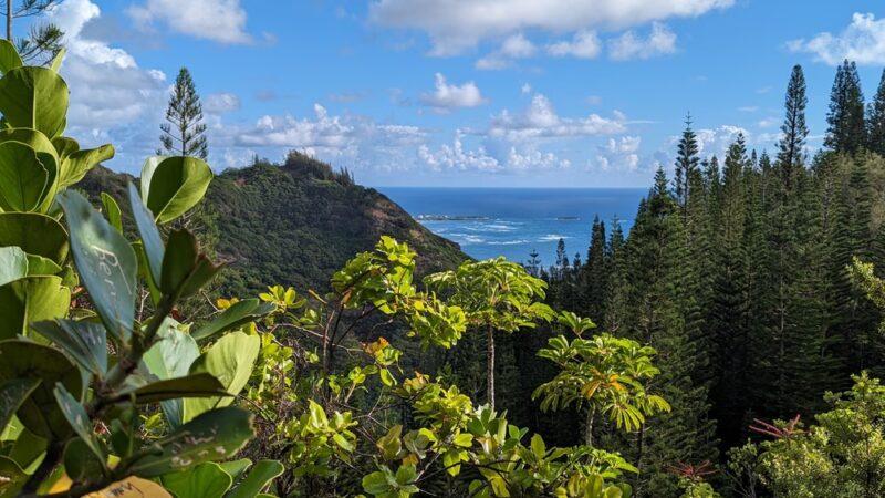 Hauʻula Forest Reserve - Laie, HI
