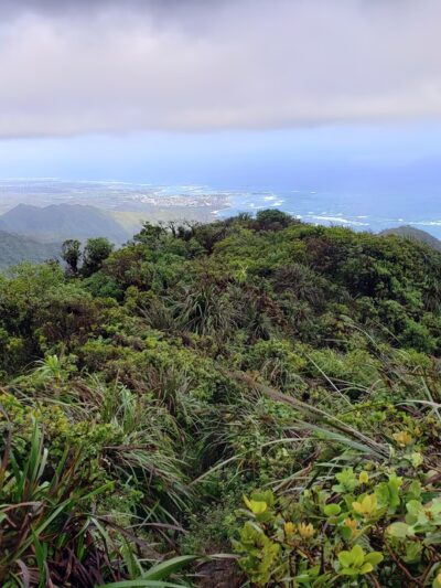 Hauʻula Forest Reserve - Laie, HI