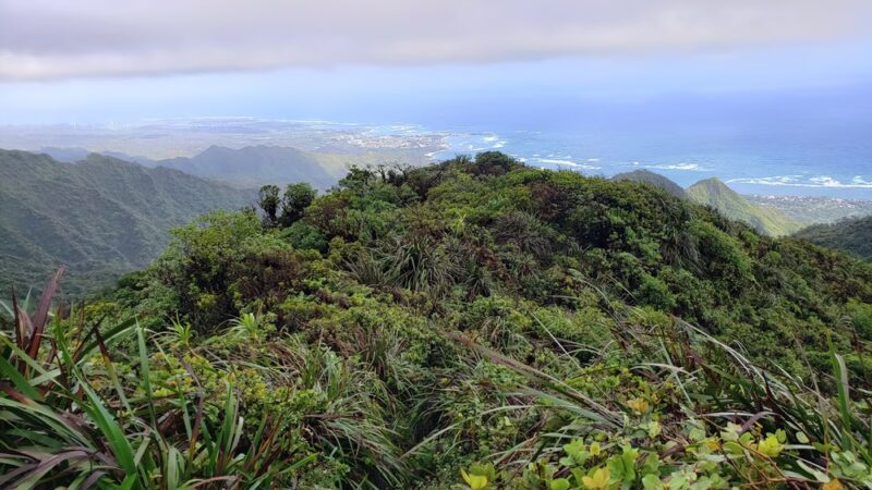 Hauʻula Forest Reserve - Laie, HI