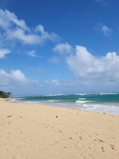 Lāʻielohelohe Beach Park - Laie, HI