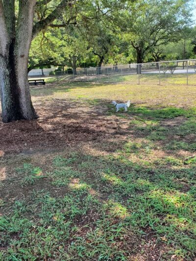 Doc. Haromy Dog Park - Lake Wales, FL