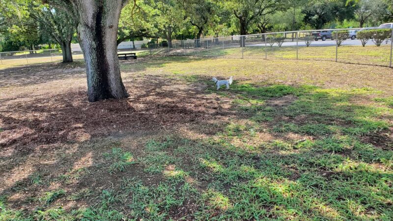 Doc. Haromy Dog Park - Lake Wales, FL
