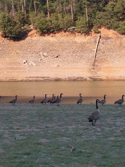 Ellery Creek Campground - Lakehead, CA