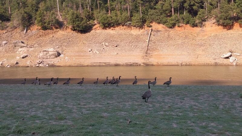 Ellery Creek Campground - Lakehead, CA