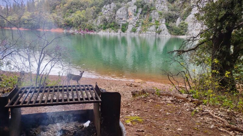 Ellery Creek Campground - Lakehead, CA