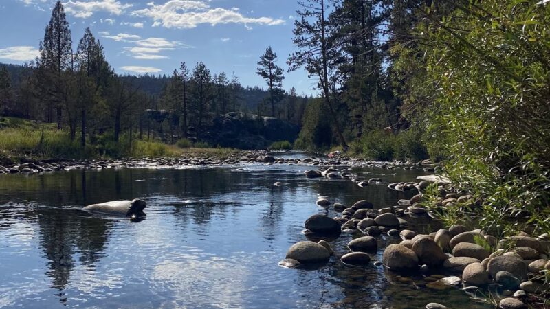 Mono Hot Springs Campground - Lakeshore, CA