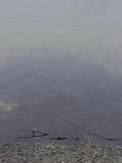 Lake Jennings - Lakeside, CA