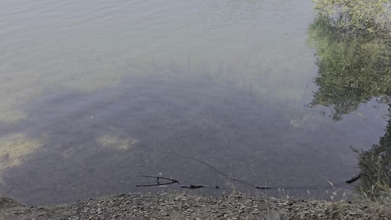 Lake Jennings - Lakeside, CA