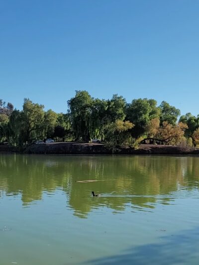 Lindo Lake County Park - Lakeside, CA