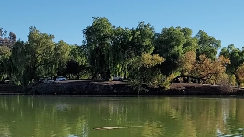 Lindo Lake County Park - Lakeside, CA