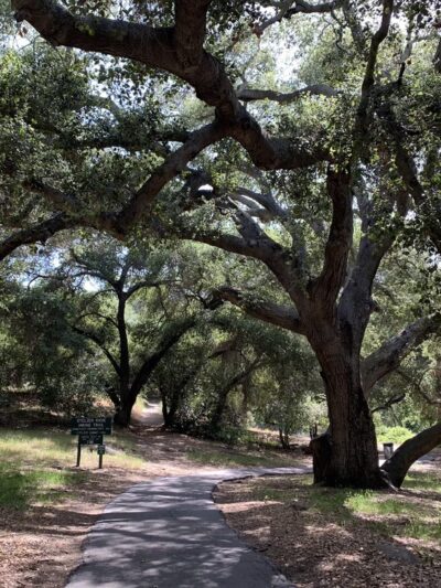 Louis A. Stelzer County Park - Lakeside, CA