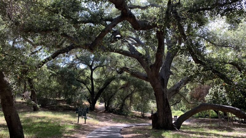 Louis A. Stelzer County Park - Lakeside, CA