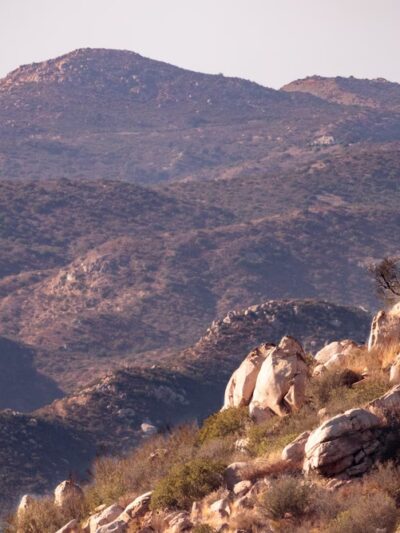 Oakoasis County Preserve - Lakeside, CA