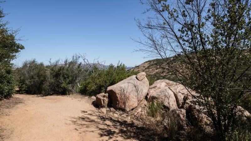Oakoasis County Preserve - Lakeside, CA
