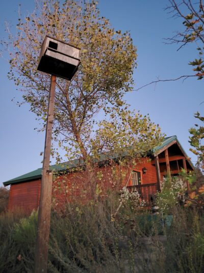 Oakoasis County Preserve Campsite - Lakeside, CA