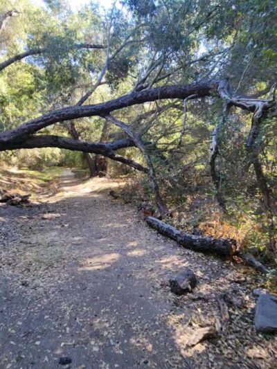 Oakoasis County Preserve Campsite - Lakeside, CA