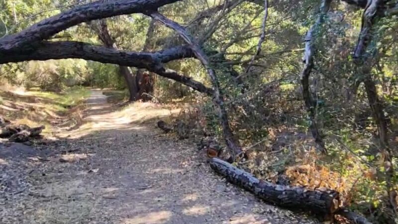 Oakoasis County Preserve Campsite - Lakeside, CA
