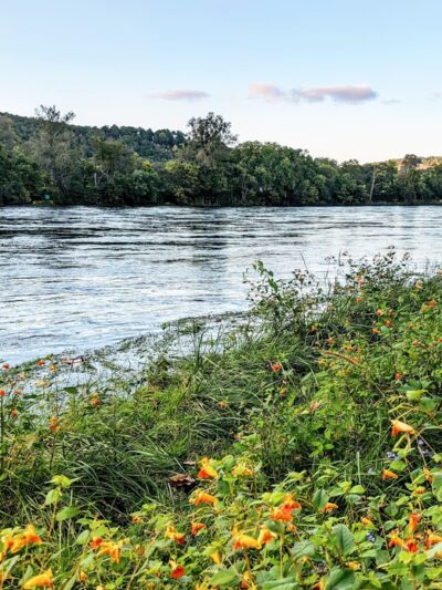 Bull Shoals - White River State Park - Lakeview, AR