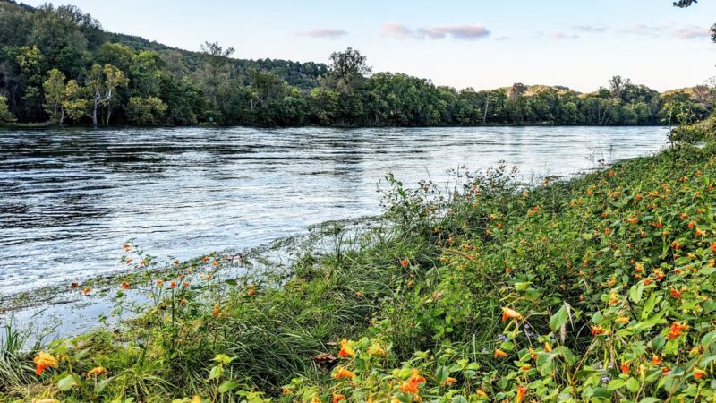 Bull Shoals - White River State Park - Lakeview, AR