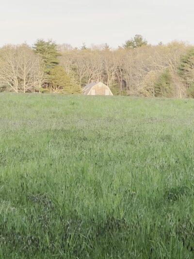 Betty’s neck trail 1 - Lakeville, MA