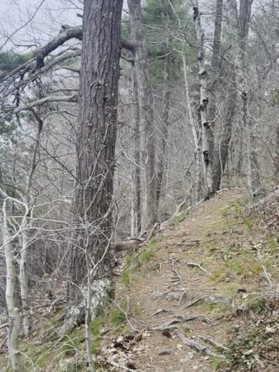 Betty’s neck trail 1 - Lakeville, MA