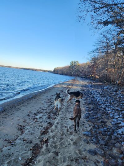 Betty’s neck trail 1 - Lakeville, MA