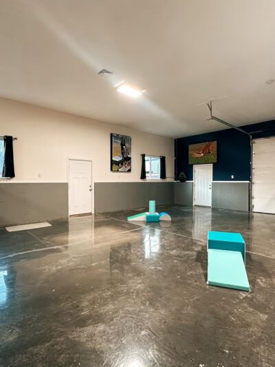 DogTowne - Lakeville, MA