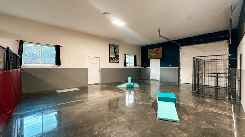 DogTowne - Lakeville, MA