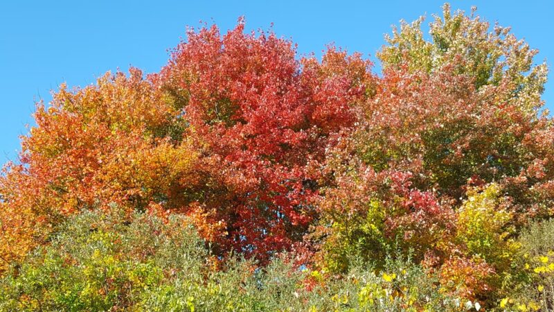 John Paun Park - Lakeville, MA