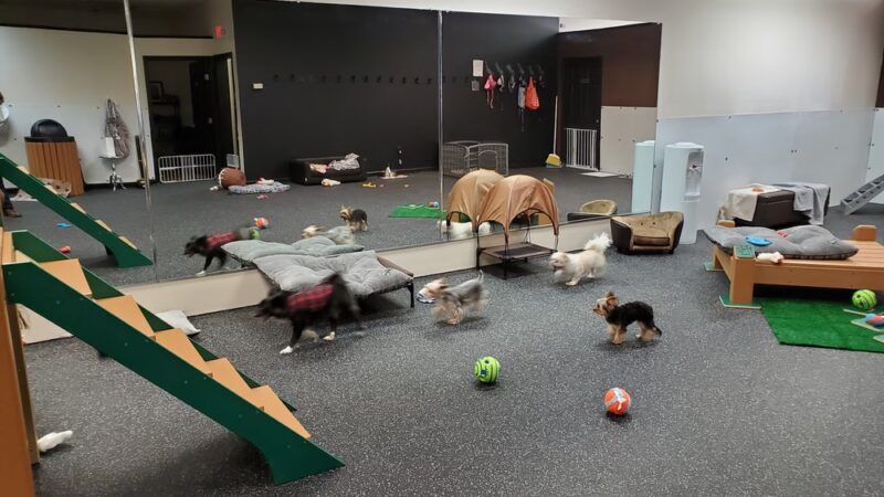 K & J Doggy Palace - Lakeville, MA