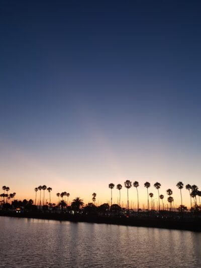 Coyote Creek - Lakewood, CA