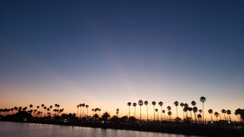 Coyote Creek - Lakewood, CA