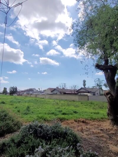 West San Gabriel River Parkway Nature Trail - Lakewood, CA