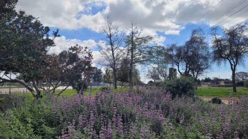 West San Gabriel River Parkway Nature Trail - Lakewood, CA