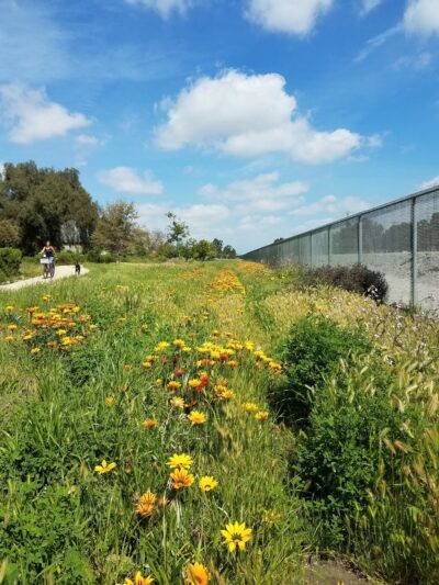 West San Gabriel River Parkway Nature Trail @ Candlewood St - Lakewood, CA
