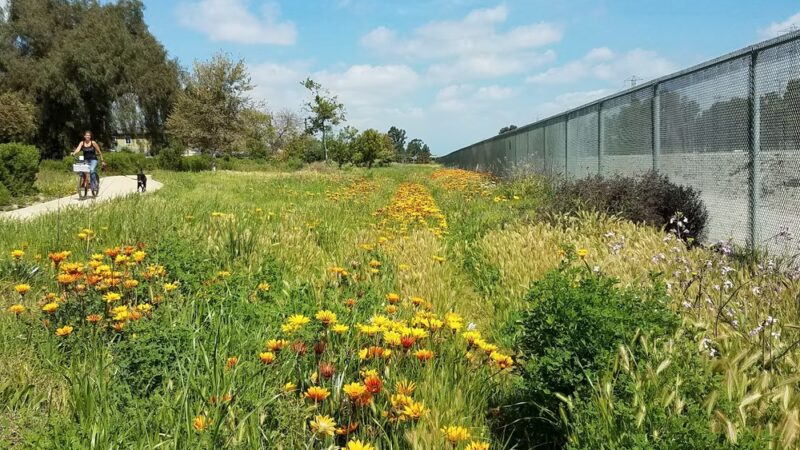 West San Gabriel River Parkway Nature Trail @ Candlewood St - Lakewood, CA
