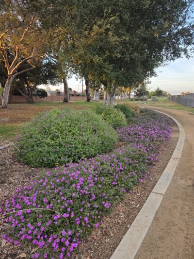 West San Gabriel River Parkway Nature Trail @ Candlewood St - Lakewood, CA