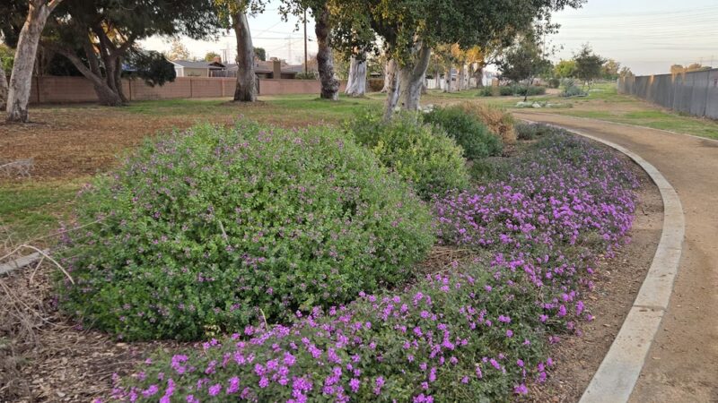 West San Gabriel River Parkway Nature Trail @ Candlewood St - Lakewood, CA