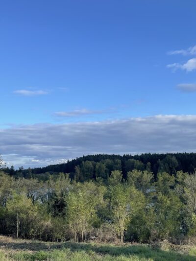 Fort Steilacoom Park - Lakewood, WA