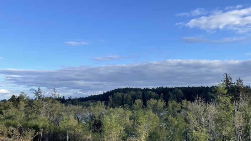 Fort Steilacoom Park - Lakewood, WA