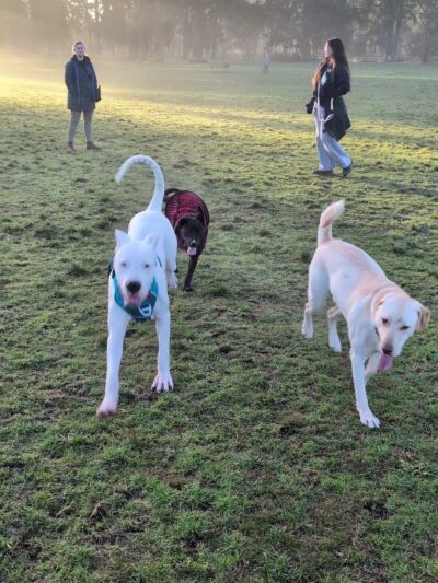 Ft. Steilacoom Park - Lakewood, WA