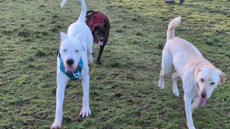 Ft. Steilacoom Park - Lakewood, WA