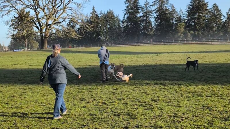 Ft. Steilacoom Park - Lakewood, WA