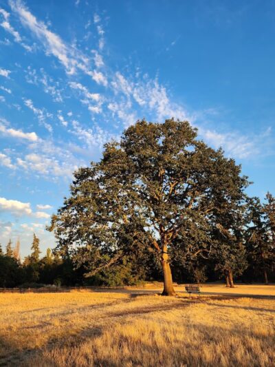 Ft. Steilacoom Park - Lakewood, WA