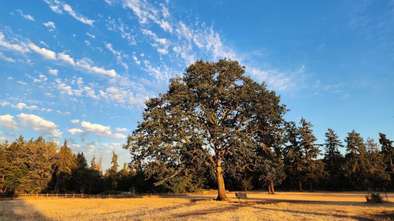 Ft. Steilacoom Park - Lakewood, WA