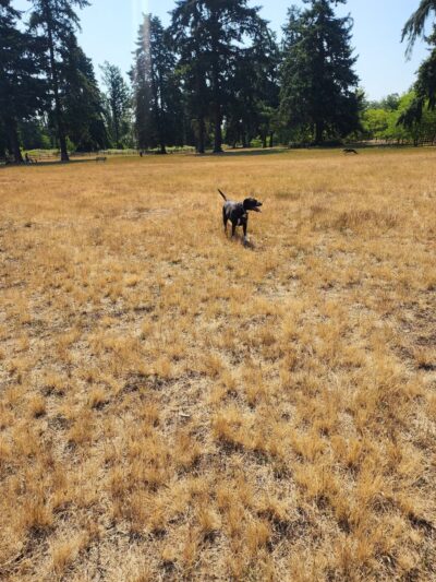 Ft. Steilacoom Park - Lakewood, WA