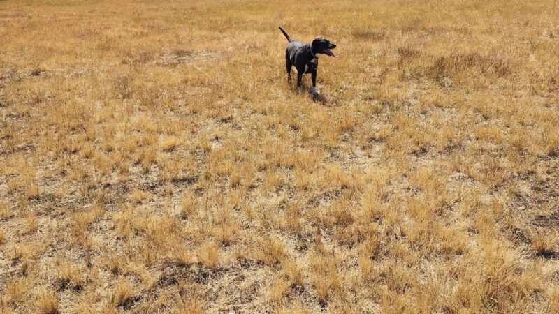 Ft. Steilacoom Park - Lakewood, WA