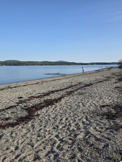 Lamoine Beach Park - Lamoine, ME